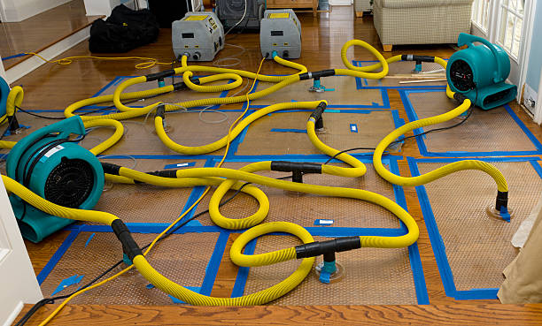 Professional Basement Flood Cleanup technician working in Bogota, TN